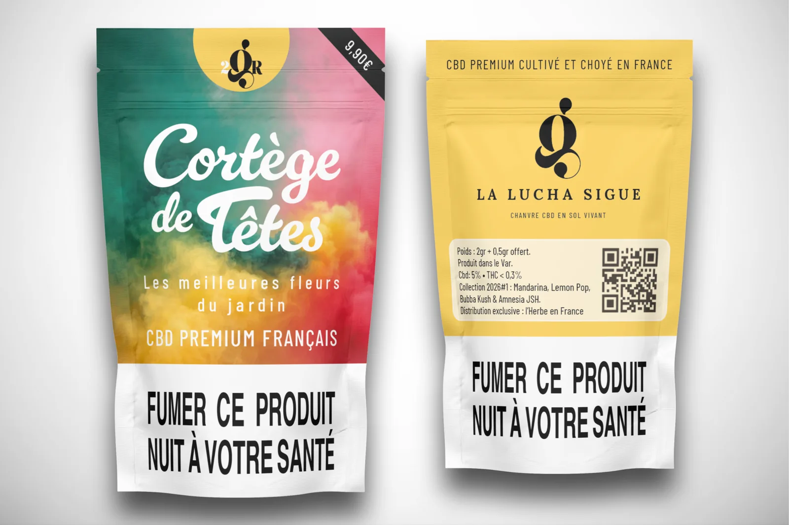 Charte graphique Lucha Sigue